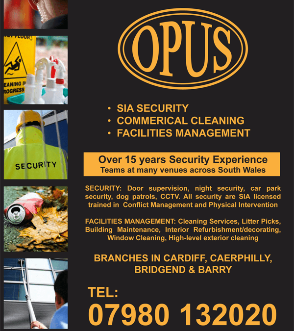 Flyer Design – Opus Security